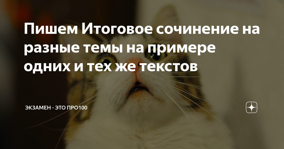 Пишем Итоговое сочинение на разные темы на примере одних и тех же ...