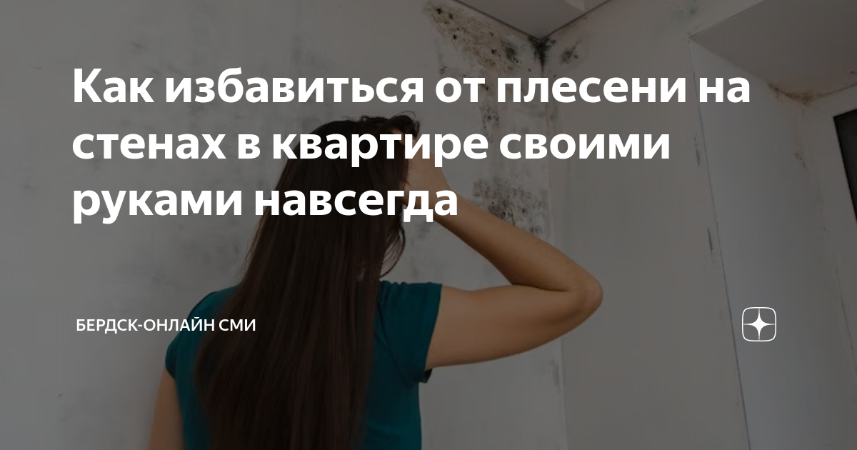 ᐉ Как убрать плесень со стен: эффективные народные средства