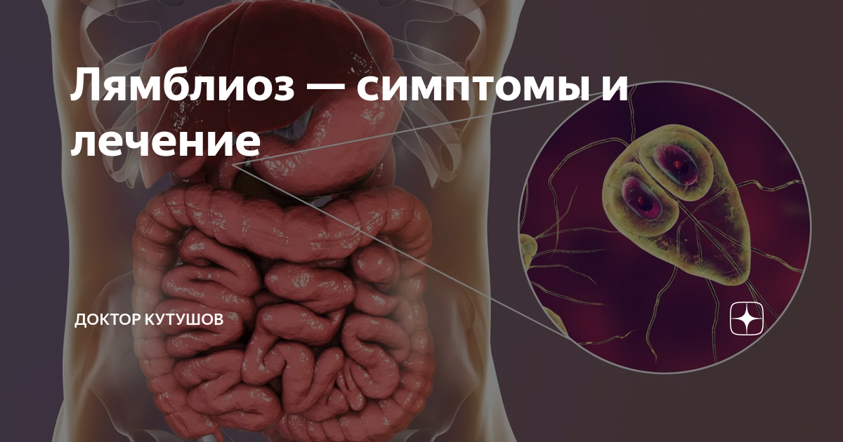 Лямблиоз — симптомы и лечение | Доктор Кутушов | Дзен