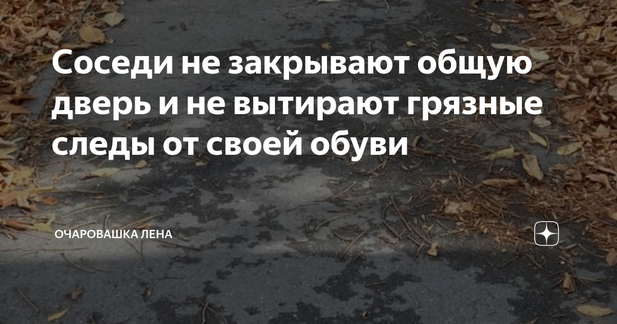 Чужие тараканы: что делать, если соседки по общаге мешают спокойно жить