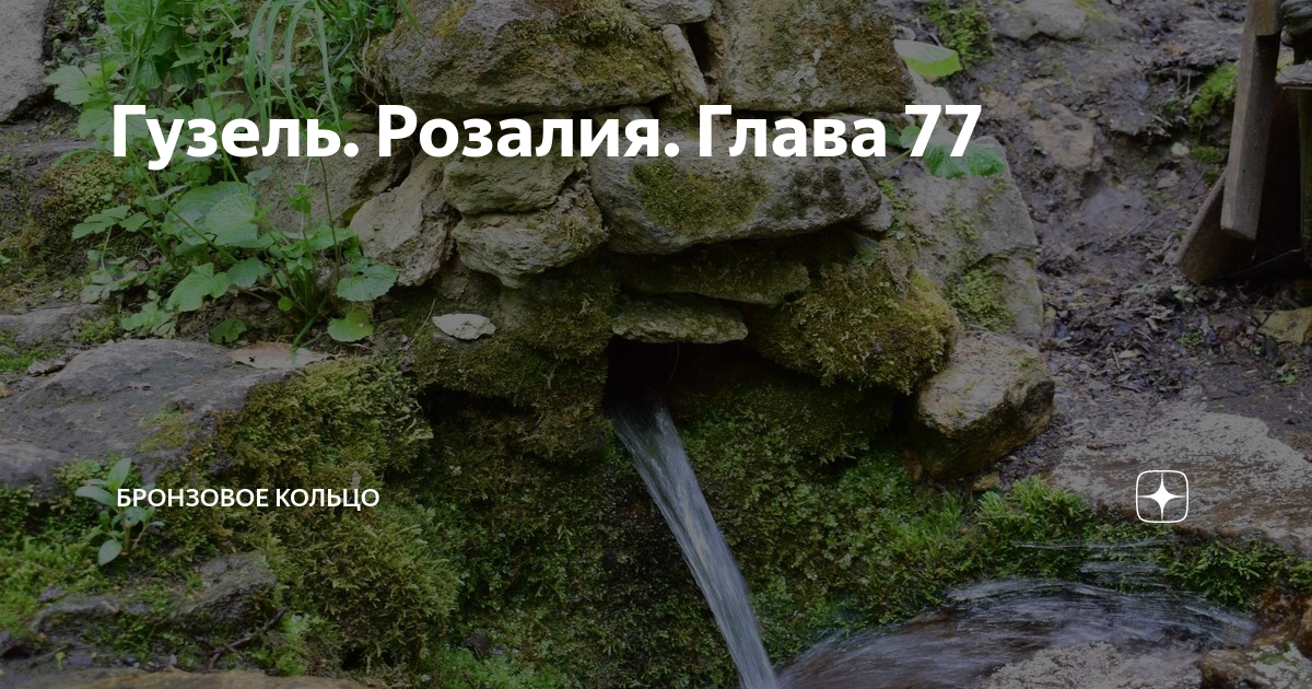 Гузель. Розалия. Глава 77 | Бронзовое кольцо | Дзен