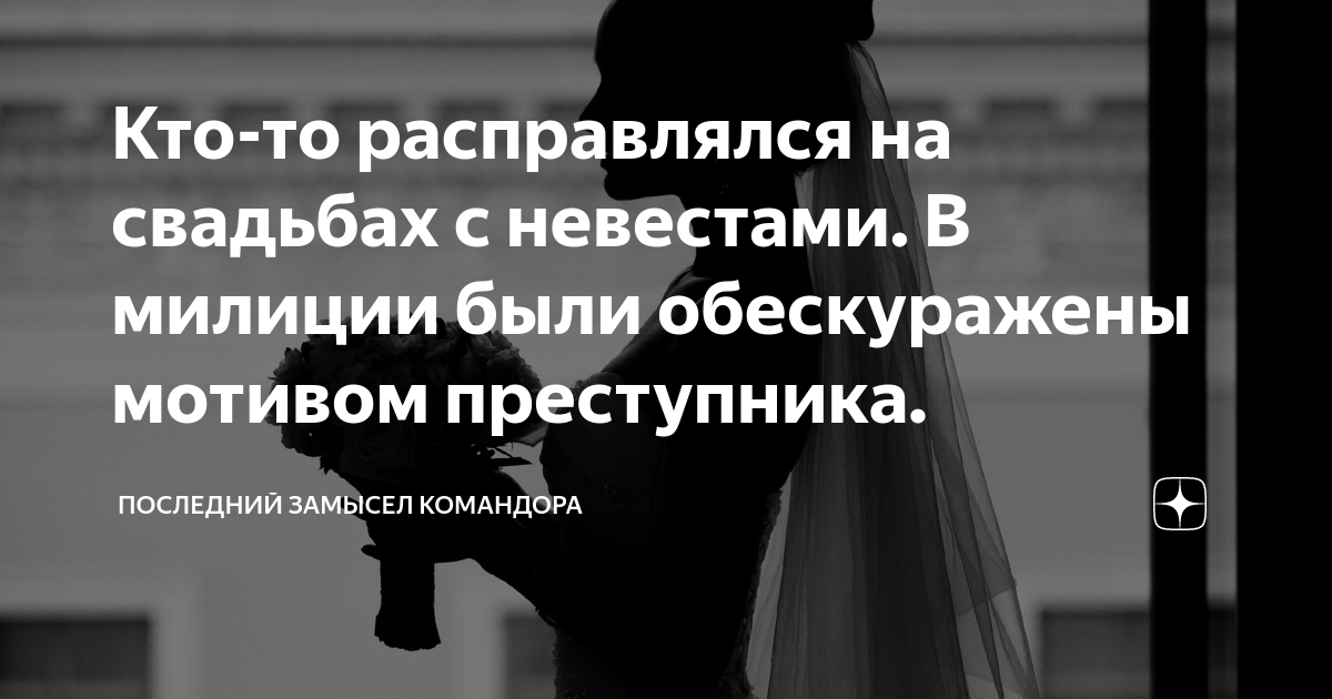 Последний замысел командора дзен читать. Жулики караул