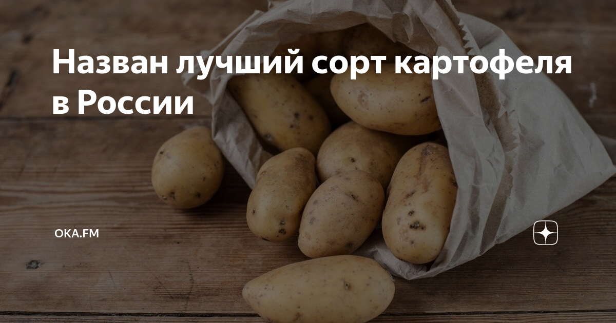 Купить Картофель Легенда 1 репродукция мешок 20кг (Россия) в АФ "Сибирский сад"