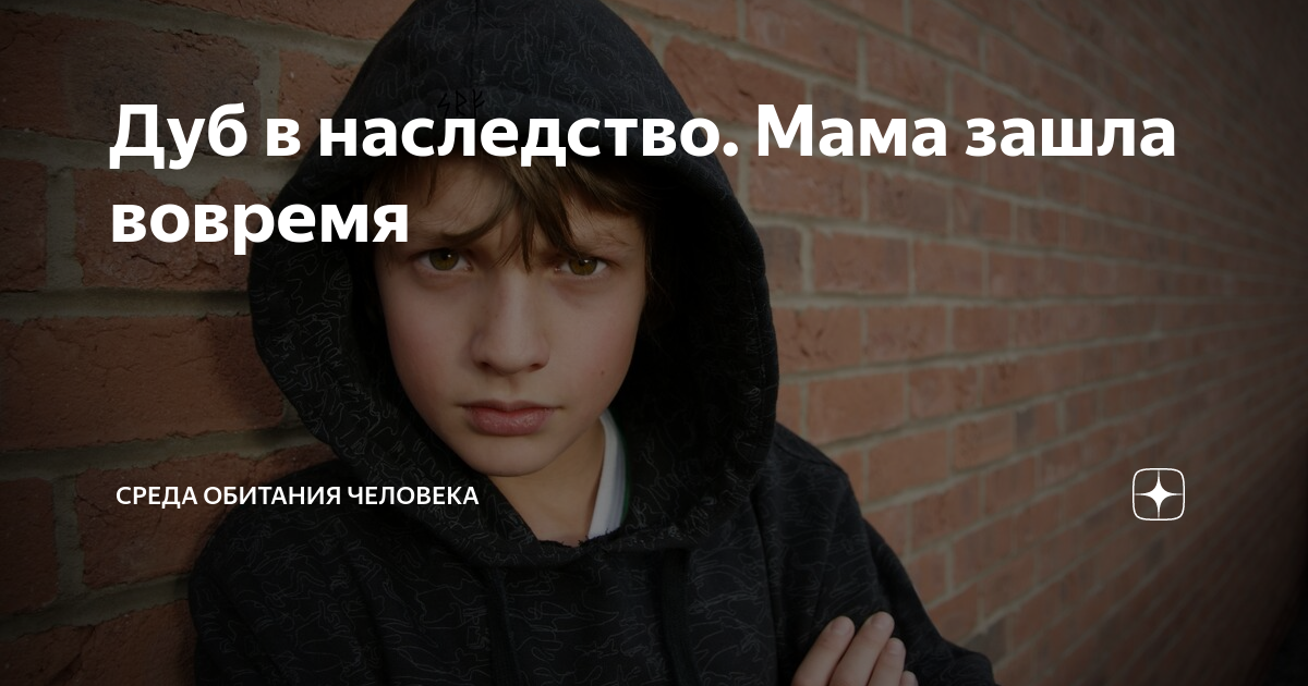 Дуб в наследство. Мама зашла вовремя | СРЕДА ОБИТАНИЯ ЧЕЛОВЕКА | Дзен