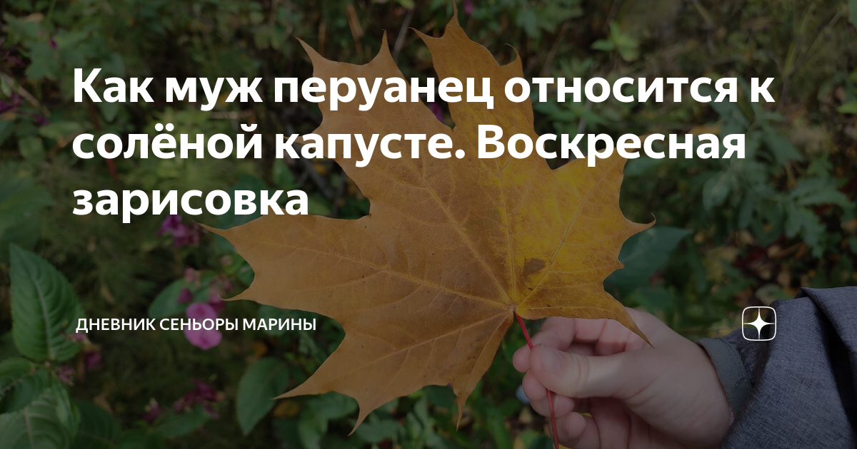Дневник сеньоры марии дзен. Дневник сеньоры марины. дневник сеньоры марины дзен.