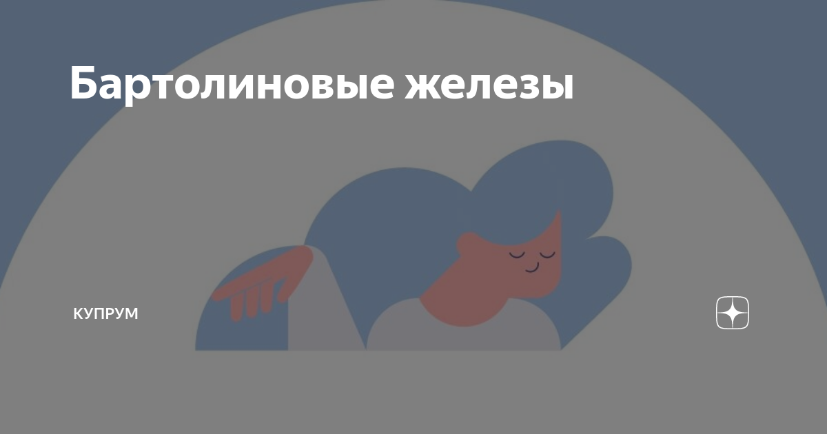 Бартолиновые железы | Купрум | Дзен