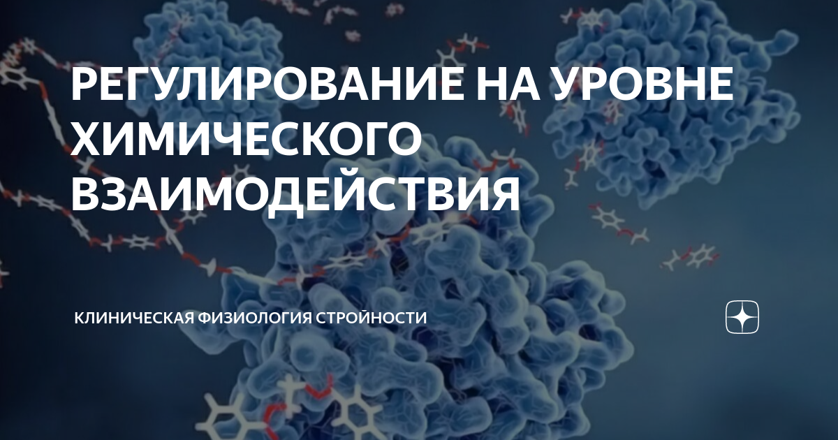 РЕГУЛИРОВАНИЕ НА УРОВНЕ ХИМИЧЕСКОГО ВЗАИМОДЕЙСТВИЯ | КЛИНИЧЕСКАЯ ...