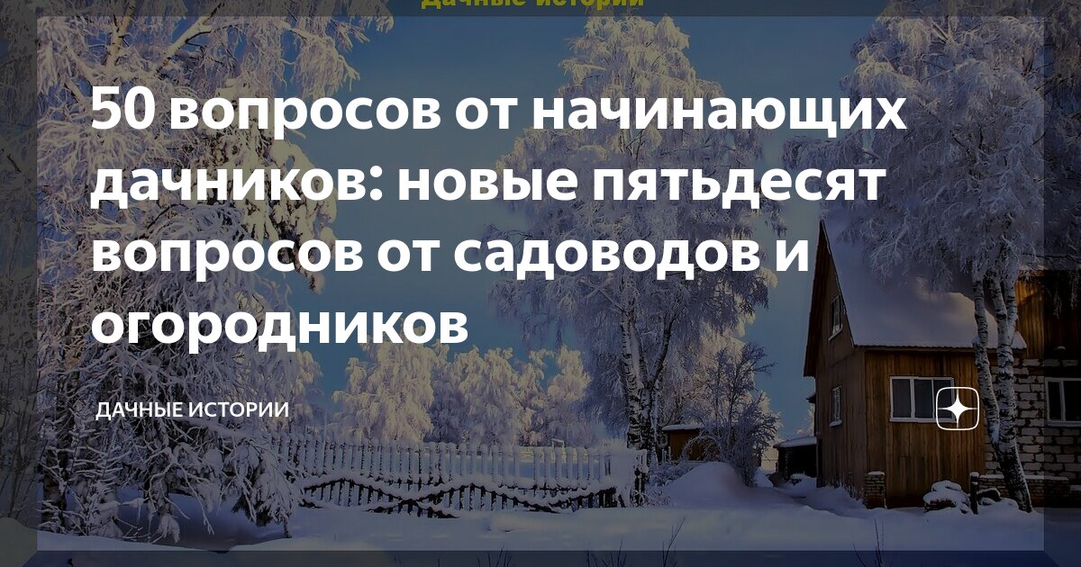 Как обеспечить надежную защиту ржи от морозов в зимний период и обеспечить высокие урожаи?