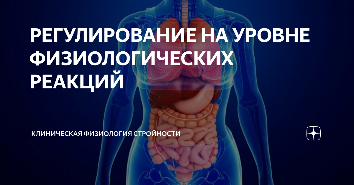 РЕГУЛИРОВАНИЕ НА УРОВНЕ ФИЗИОЛОГИЧЕСКИХ РЕАКЦИЙ | КЛИНИЧЕСКАЯ ...