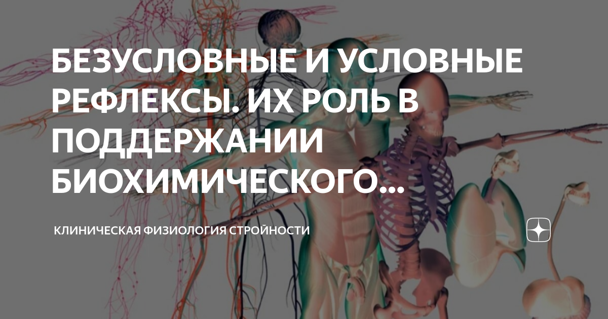 БЕЗУСЛОВНЫЕ И УСЛОВНЫЕ РЕФЛЕКСЫ. ИХ РОЛЬ В ПОДДЕРЖАНИИ БИОХИМИЧЕСКОГО ...