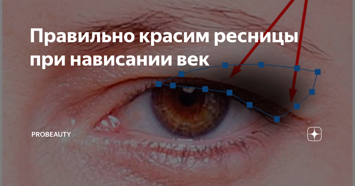 Правильно красим ресницы при нависании век | ProBeauty | Дзен