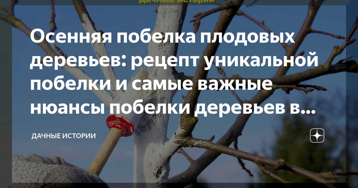 Что добавить к побелке, чтобы защитить деревья от вредителей: секрет опытных дачников