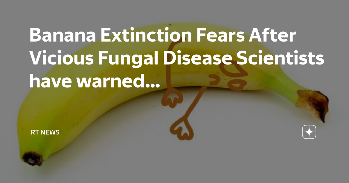 Banana Extinction Fears After Vicious Fungal Disease Scientists have