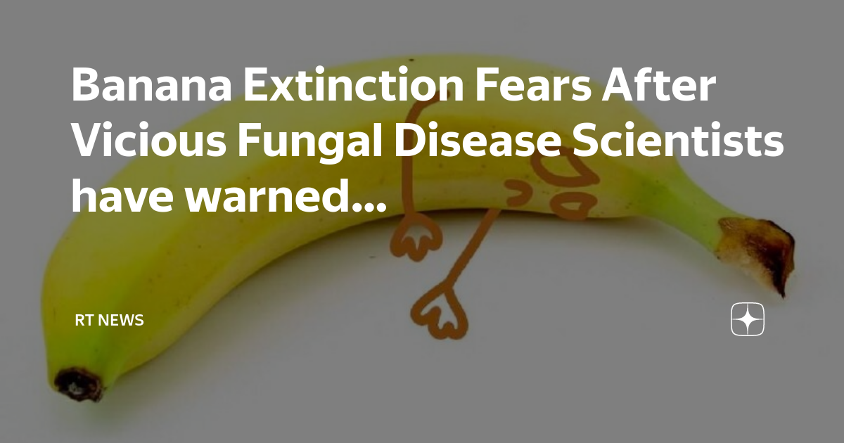 Banana Extinction Fears After Vicious Fungal Disease Scientists have ...