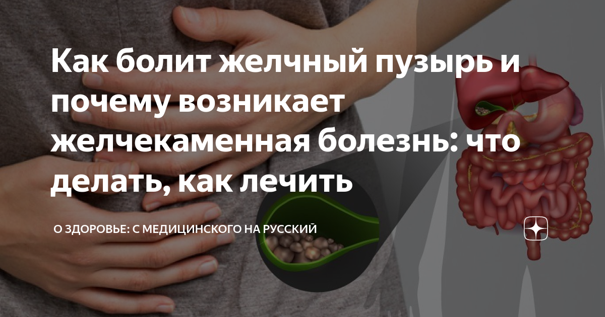 Как болит желчный пузырь и почему возникает желчекаменная болезнь: что ...