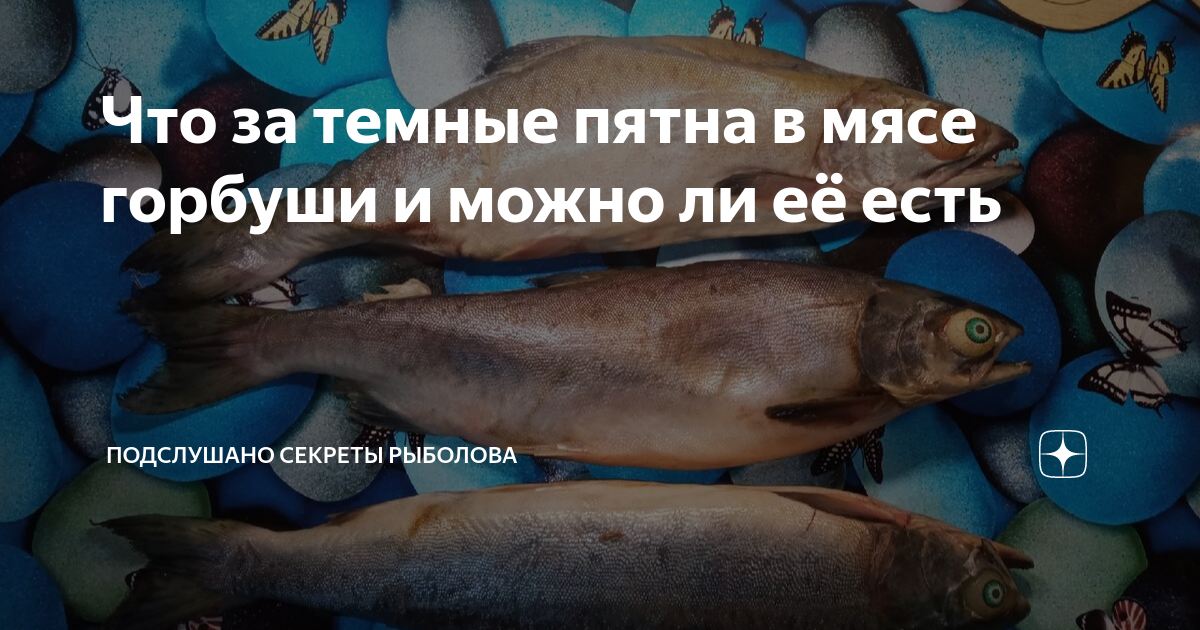 можно ли в среду и пятницу рыбу