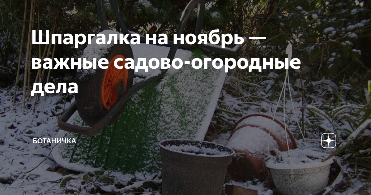 Полив и подкормка