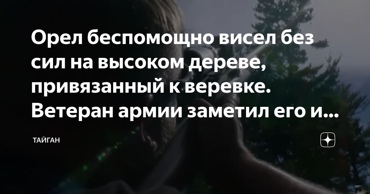 Орел беспомощно висел без сил на высоком дереве, привязанный к веревке ...
