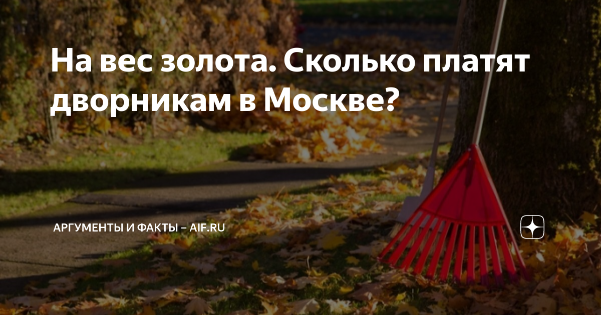 На вес золота. Сколько платят дворникам в Москве? | Аргументы и факты ...