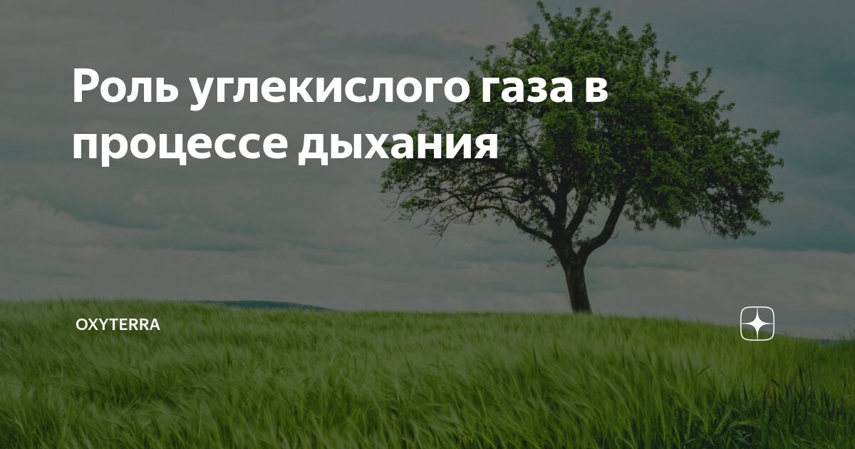 Сухая углекислая ваннна