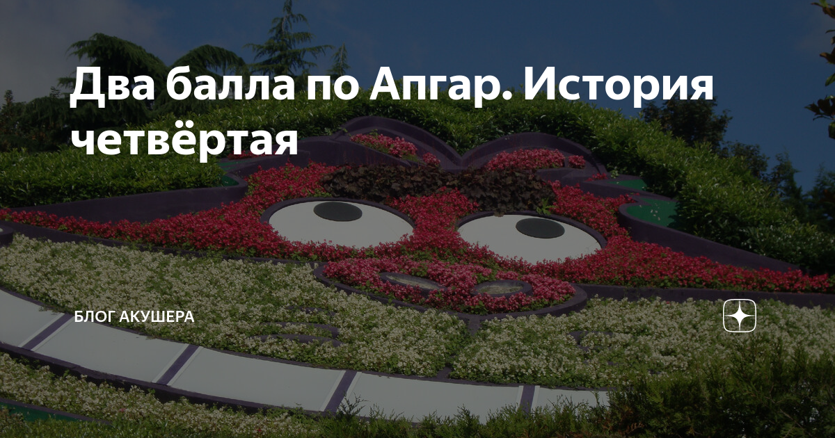 3 балла по апгар форум