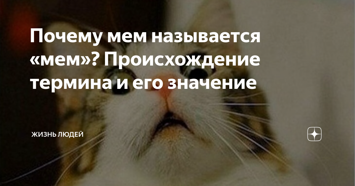 Сидим не рыпаемся откуда мем