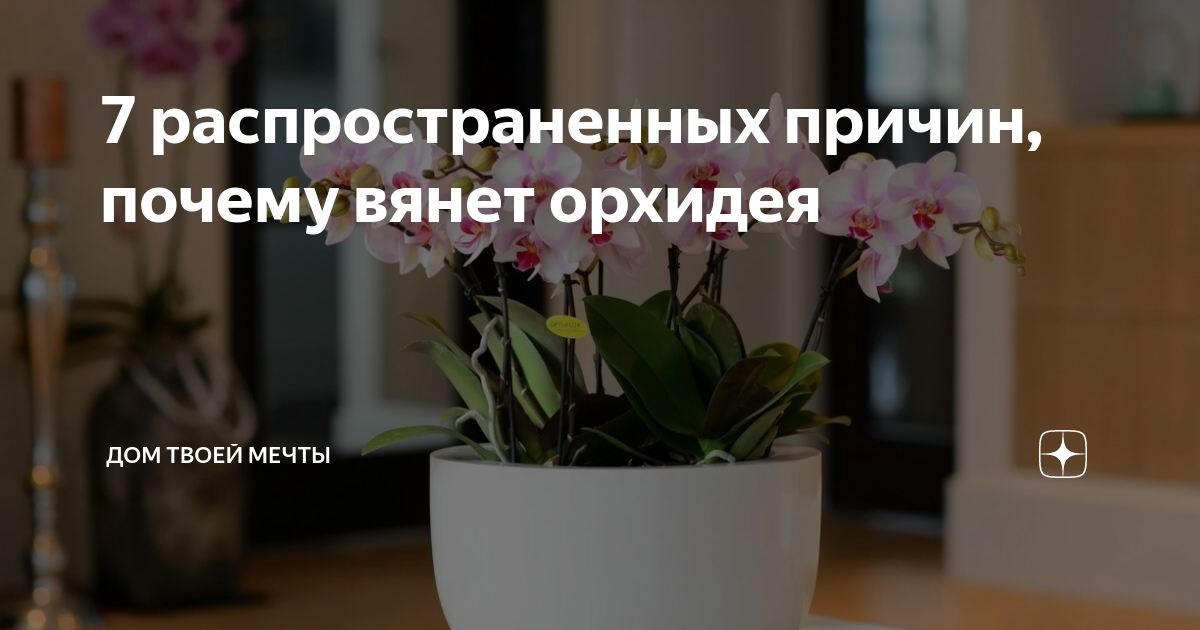 Неправильный режим полива
