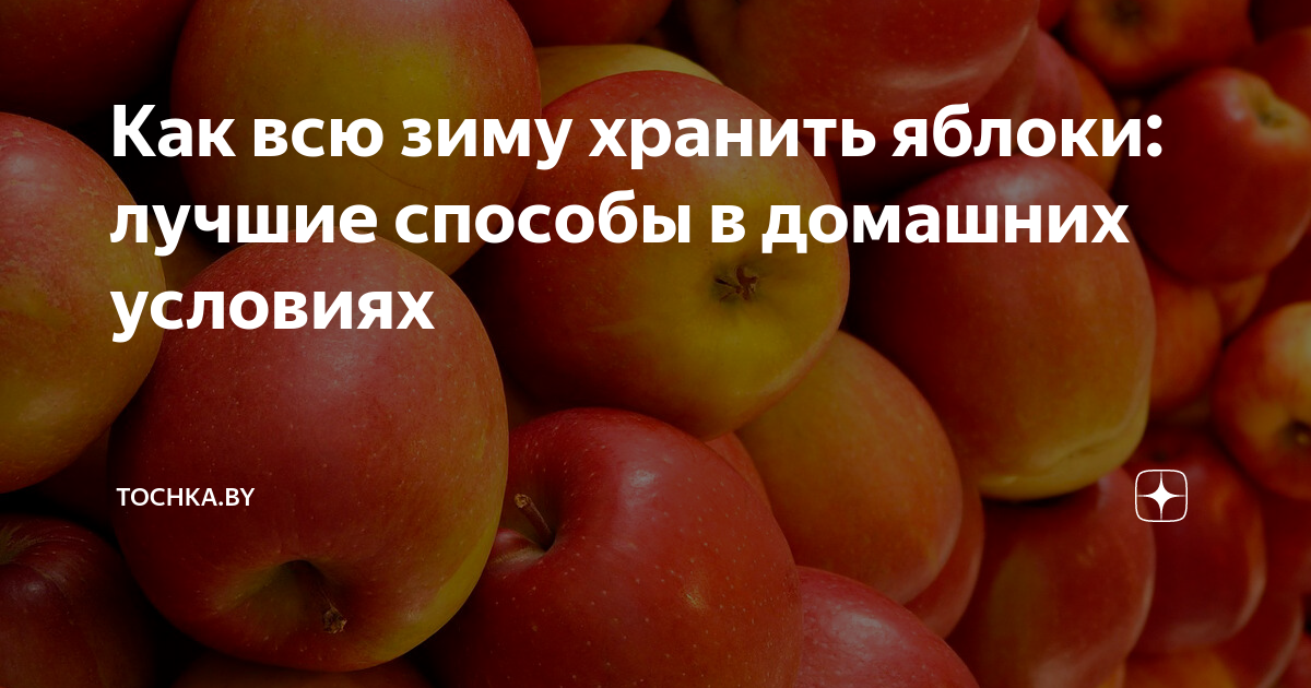 Хранение яблок при температуре
