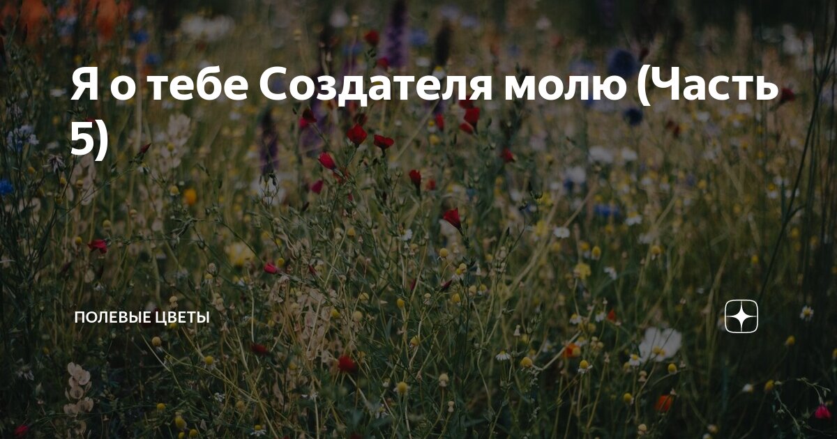 Я о тебе Создателя молю (Часть 5) | Полевые цветы | Дзен