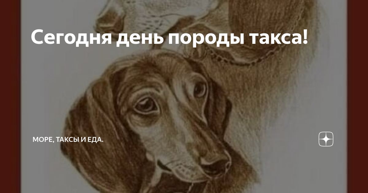 Море таксы и еда феодосия дзен. Море таксы и еда феодосия дзен