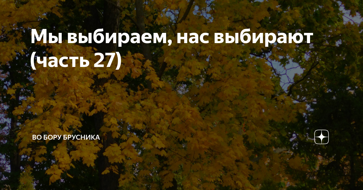 Осколки души во бору брусника глава 26