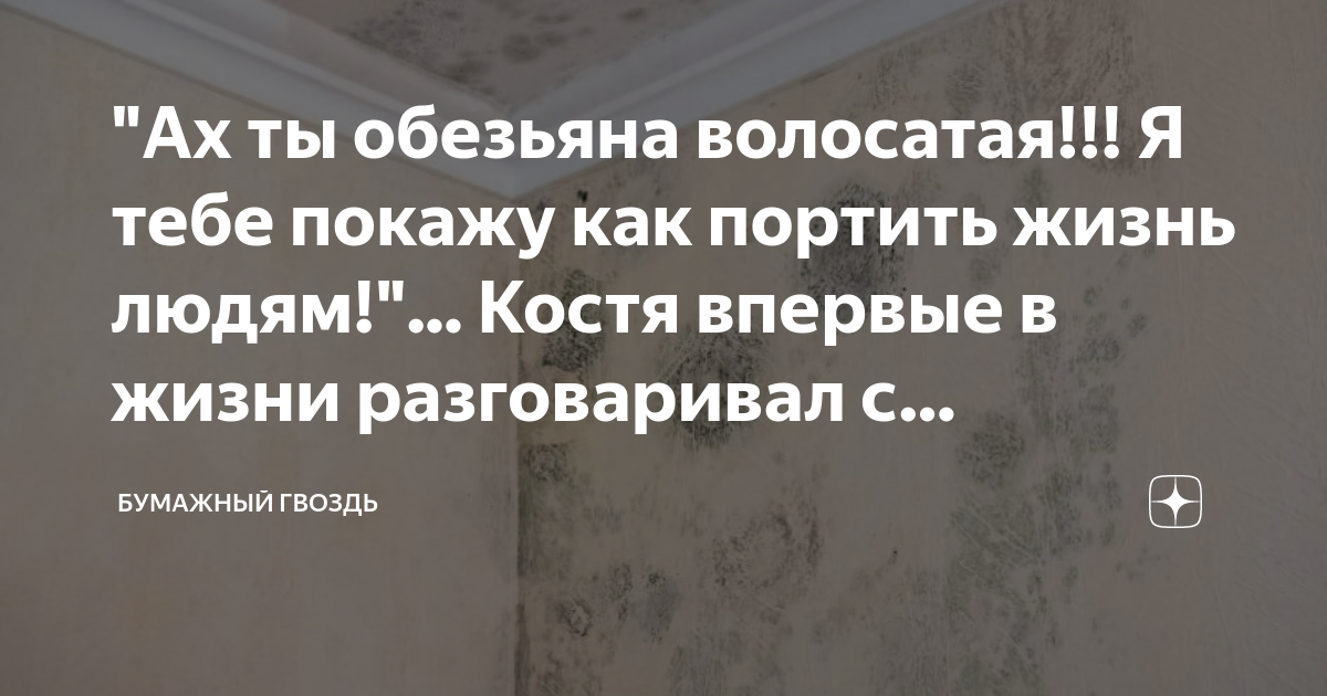 обезьяна в очках стих