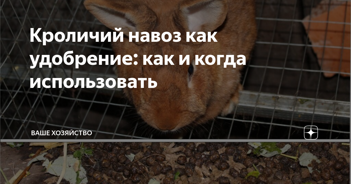 Использование органических остатков в садоводстве