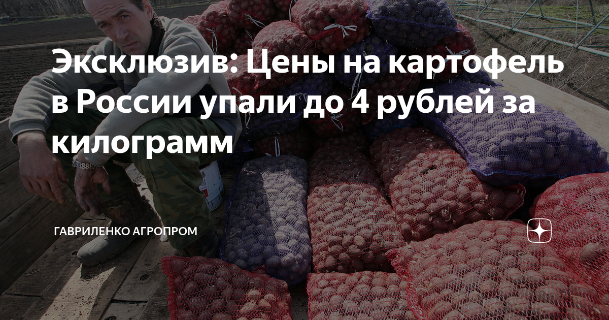 Эксклюзив: Цены на картофель в России упали до 4 рублей за килограмм ...