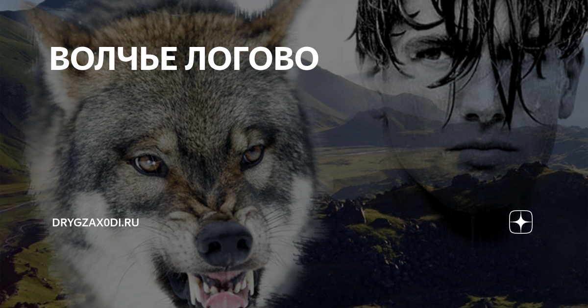 ВОЛЧЬЕ ЛОГОВО | DrygZax0di.ru | Дзен