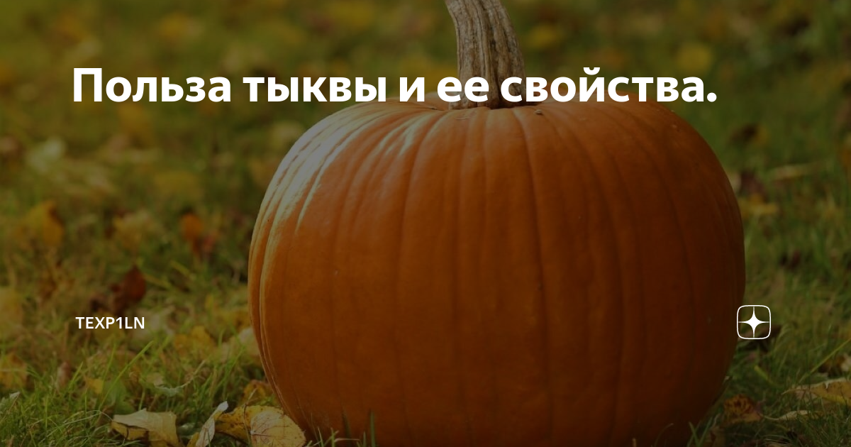 Чем полезна тыква и кому ее нельзя? Отвечают врачи