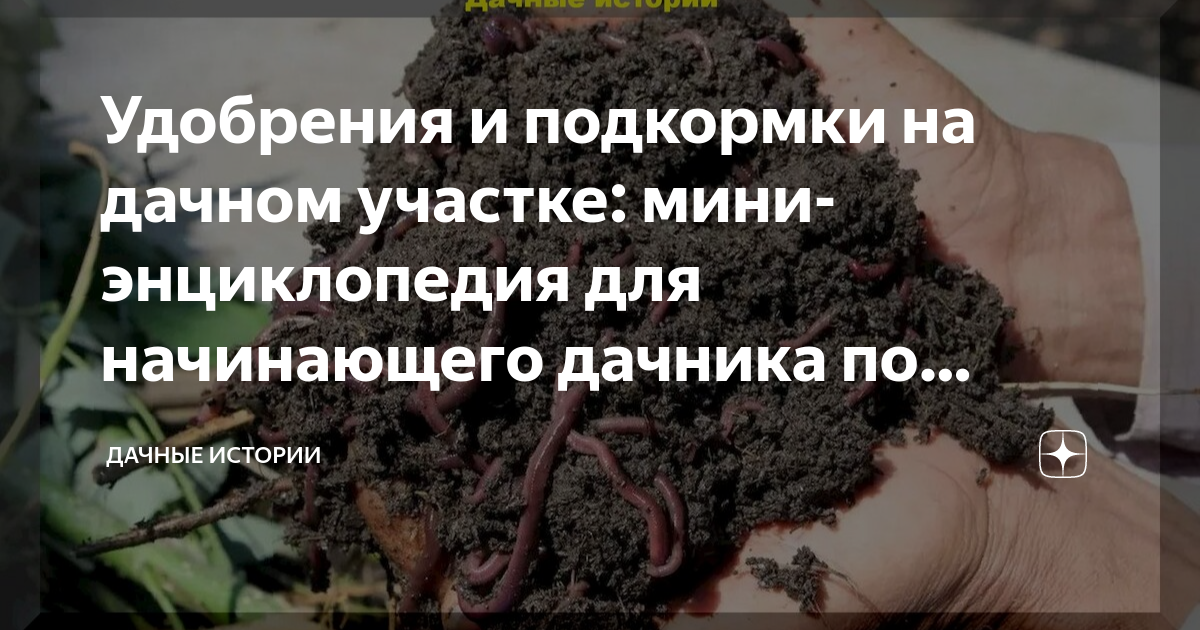 Удобрения и подкормки на дачном участке: мини-энциклопедия для ...