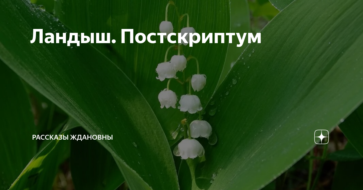 Читать рассказ ждановны вика