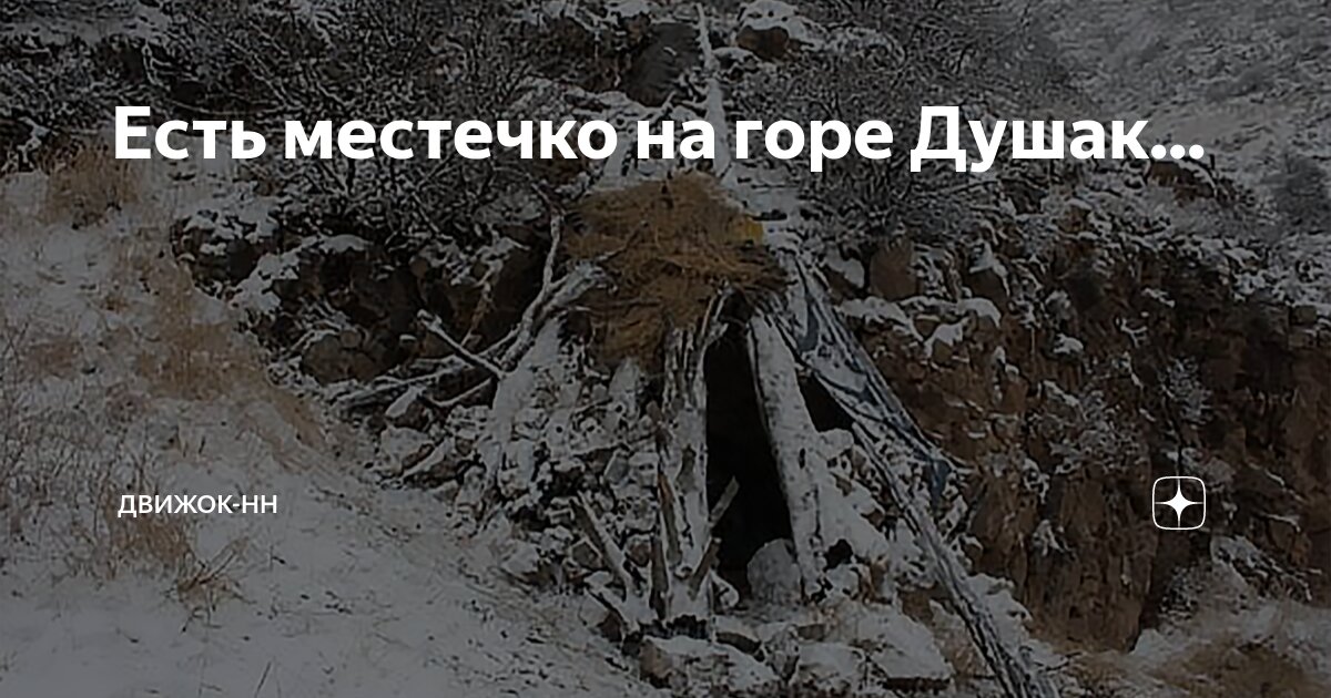 алексей аригато дикий турист
