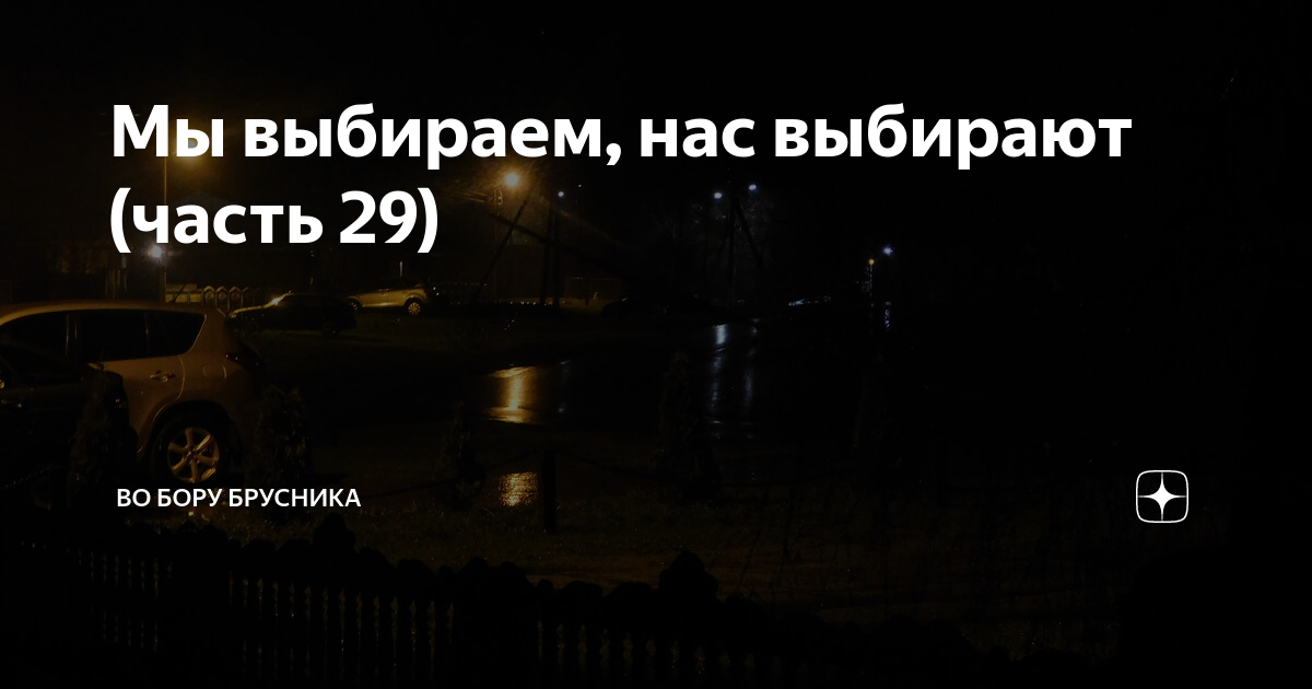 Мы выбираем, нас выбирают (часть 29) | Брусникины рассказы | Дзен
