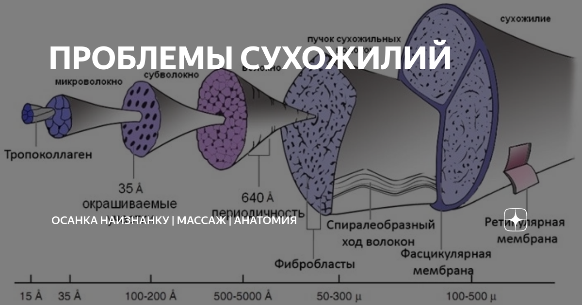 Дисплазия влагалища: причины возникновения, способы лечения | «Бест Клиник»