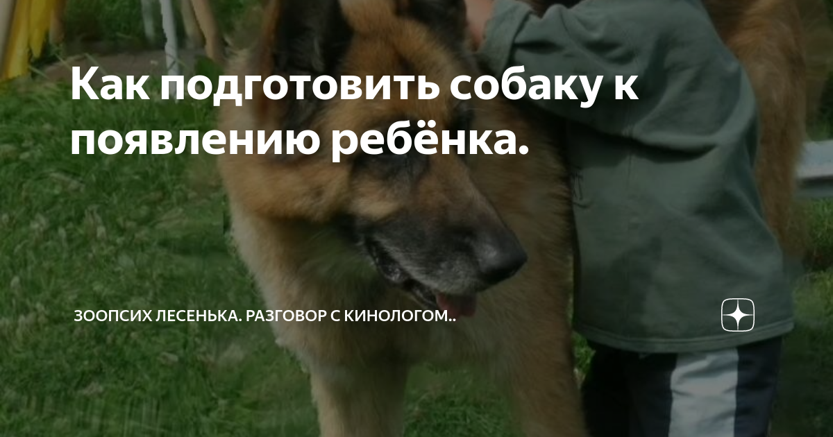 Постепенное знакомство