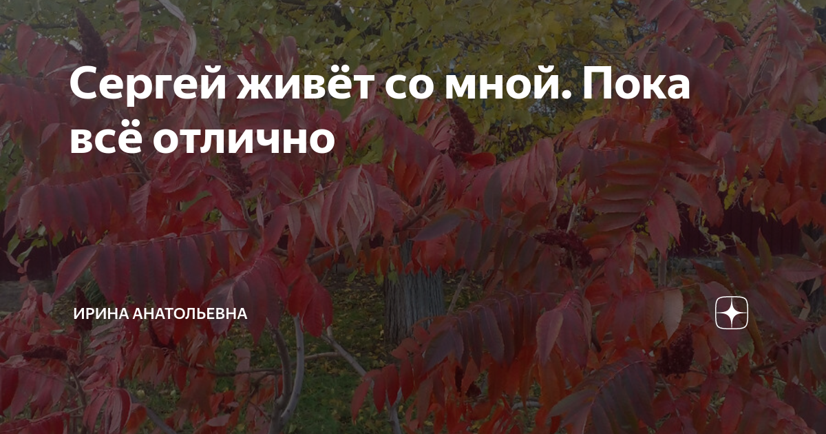 Сергей живёт со мной. Пока всё отлично | Ирина Анатольевна | Дзен