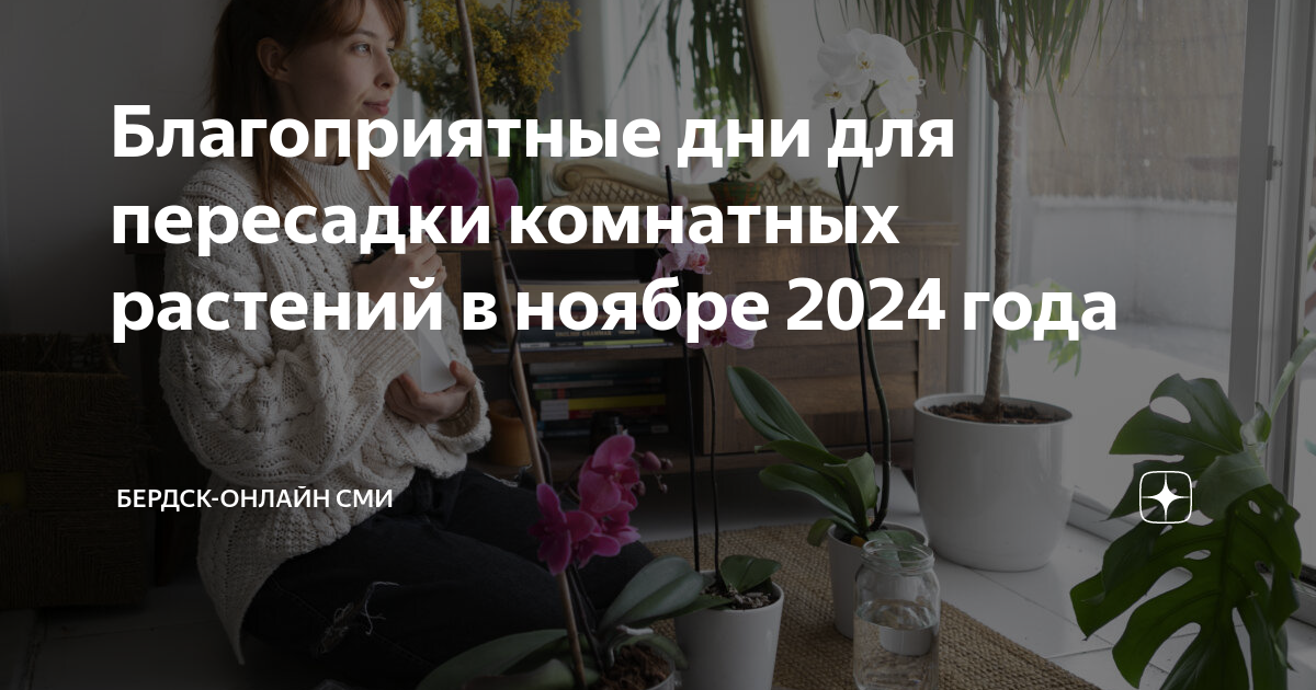 В апреле пересадка комнатных растений 2024 благоприятные