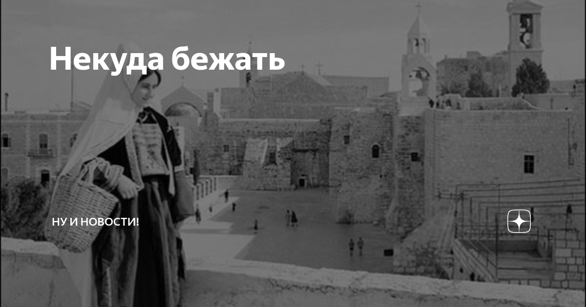 Некуда бежать | Ну и новости! | Дзен