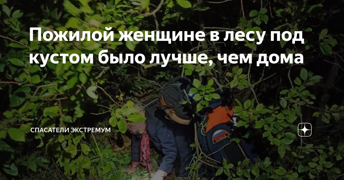 Пожилой женщине в лесу под кустом было лучше, чем дома | Спасатели ...