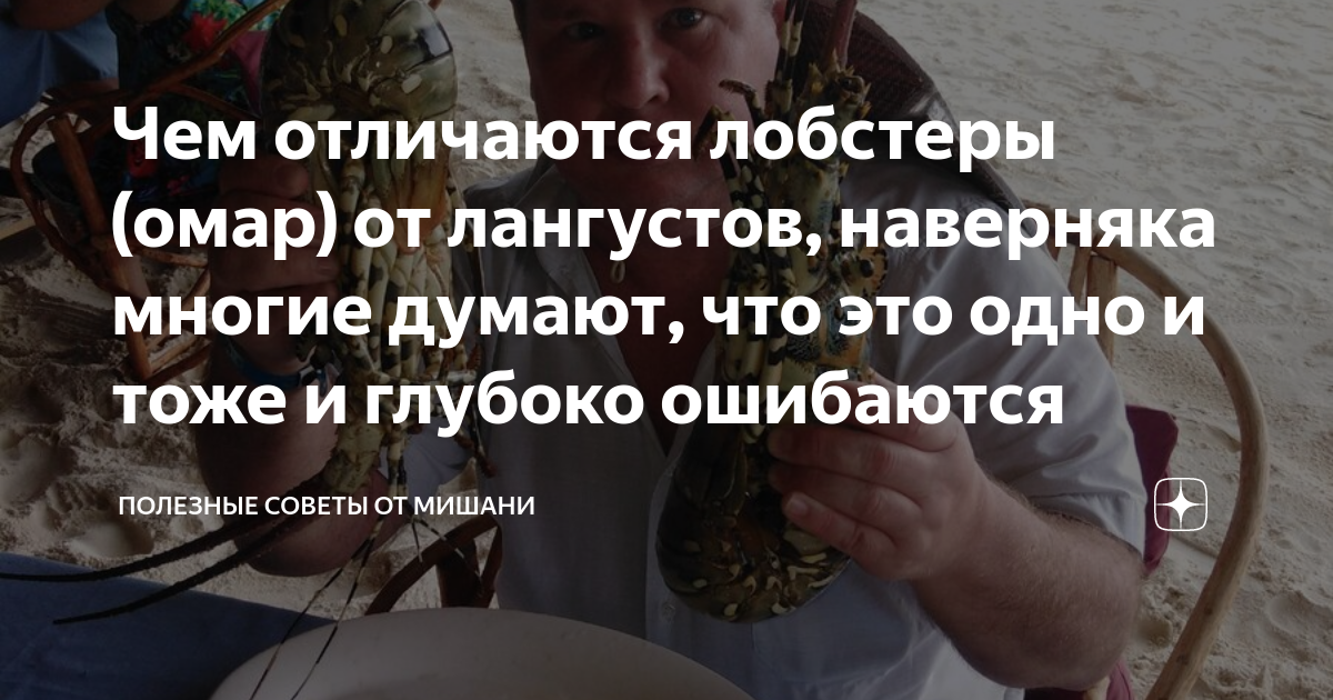 Чем отличаются лобстеры (омар) от лангустов, наверняка многие думают ...