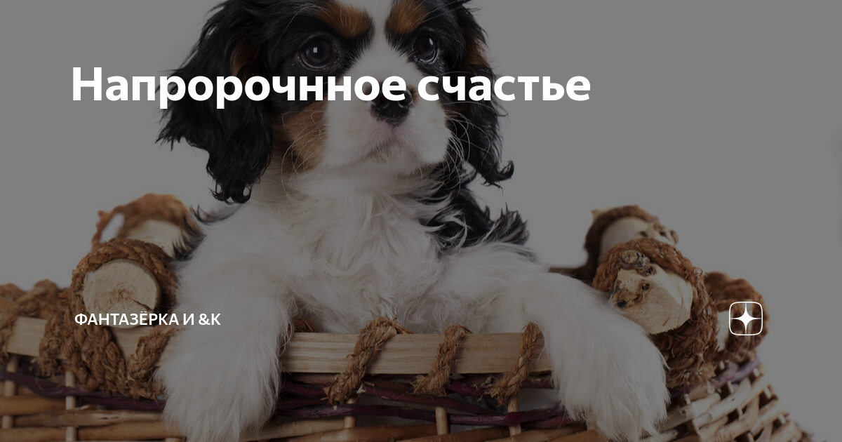 Напророчнное счастье | ФАНТАЗЁРКА И &К | Дзен