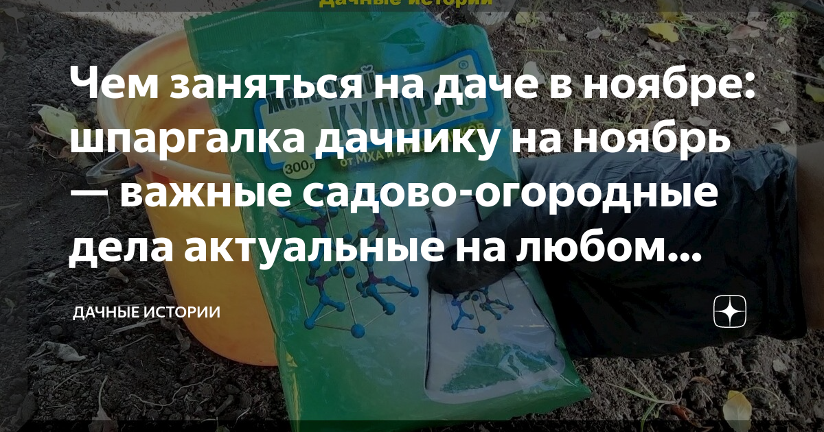 Чем заняться на даче в ноябре: шпаргалка дачнику на ноябрь — важные ...