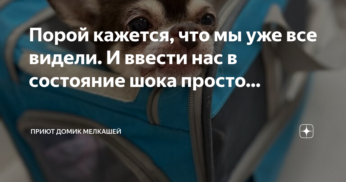 Калитка отворилась старушка протянула руку и ввела нас в комнату